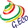 G ECO srl logo